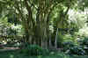 AMILAND_047.jpg (162649 Byte)