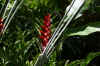 AMILAND_051.jpg (117687 Byte)