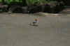 AMILAND_055.jpg (112014 Byte)