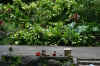 AMILAND_057.jpg (158726 Byte)