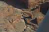 AMILAND_197.jpg (102366 Byte)