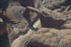 AMILAND_198.jpg (114001 Byte)