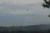 AMILAND_249.jpg (44068 Byte)