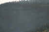 AMILAND_251.jpg (65919 Byte)